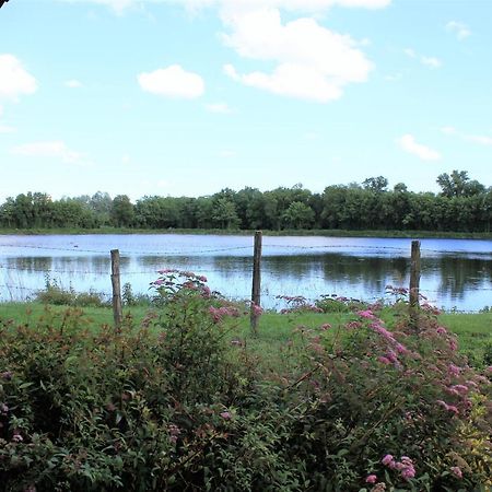 בית הארחה Saint-Didier-sur-Chalaronne 	Le Moulin Traffay מראה חיצוני תמונה